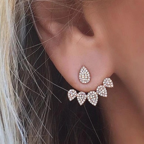 Jewelry - Georgeous 2 pieces earring